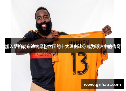 加入萨格勒布迪纳摩粉丝团的十大理由让你成为球迷中的传奇