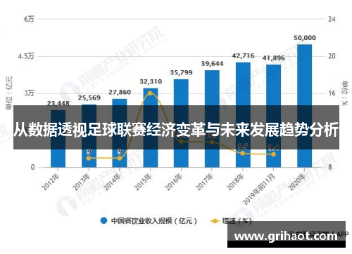 从数据透视足球联赛经济变革与未来发展趋势分析