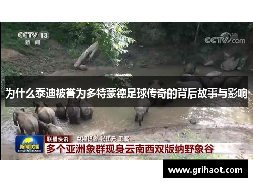 为什么泰迪被誉为多特蒙德足球传奇的背后故事与影响
