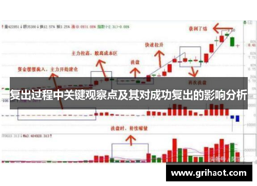 复出过程中关键观察点及其对成功复出的影响分析