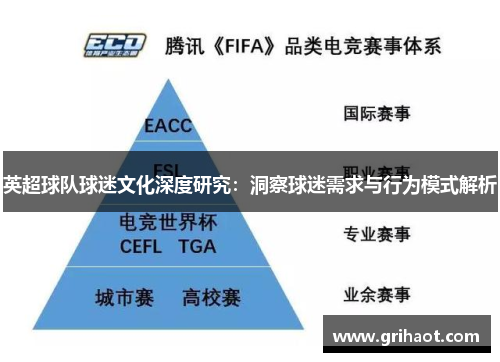英超球队球迷文化深度研究：洞察球迷需求与行为模式解析